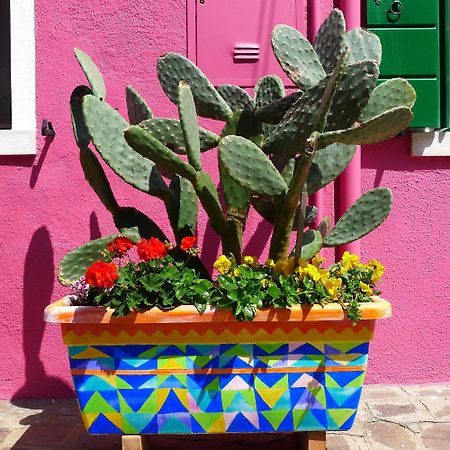 Night Galleria Holiday Home - Bed & Art In Burano - The Pink House Eksteriør billede